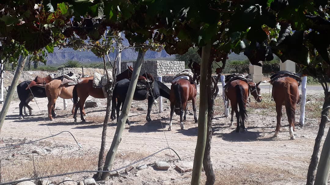 Event images Event images