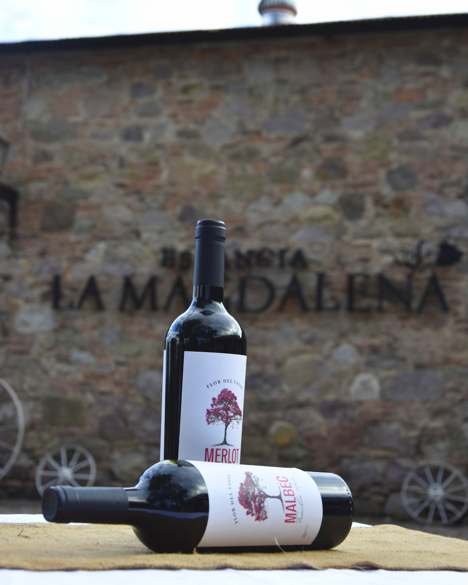 Event images Event images